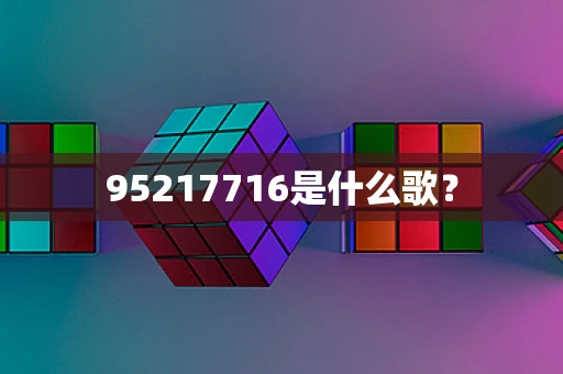 95217716是什么歌？