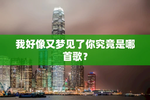 我好像又梦见了你究竟是哪首歌？