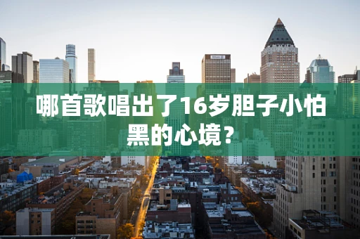 哪首歌唱出了16岁胆子小怕黑的心境？