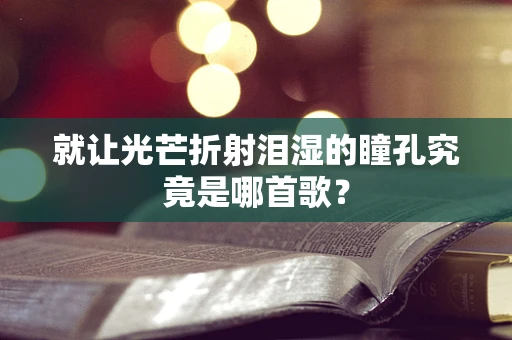 就让光芒折射泪湿的瞳孔究竟是哪首歌？