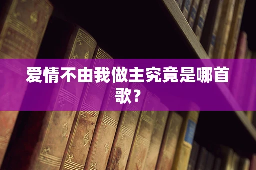 爱情不由我做主究竟是哪首歌？