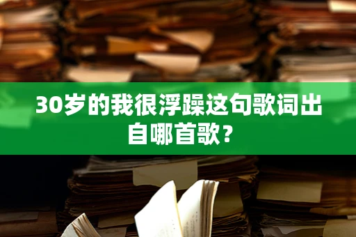 30岁的我很浮躁这句歌词出自哪首歌？