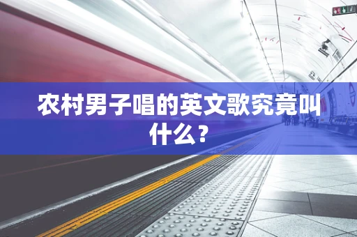 农村男子唱的英文歌究竟叫什么？